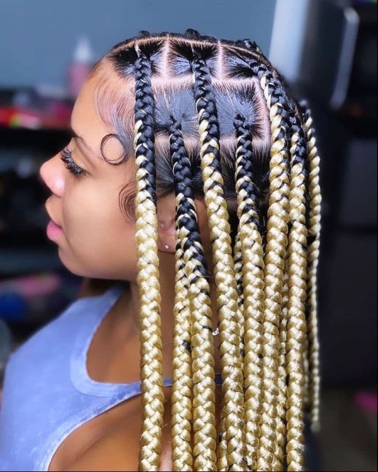 Box Braids No Beads