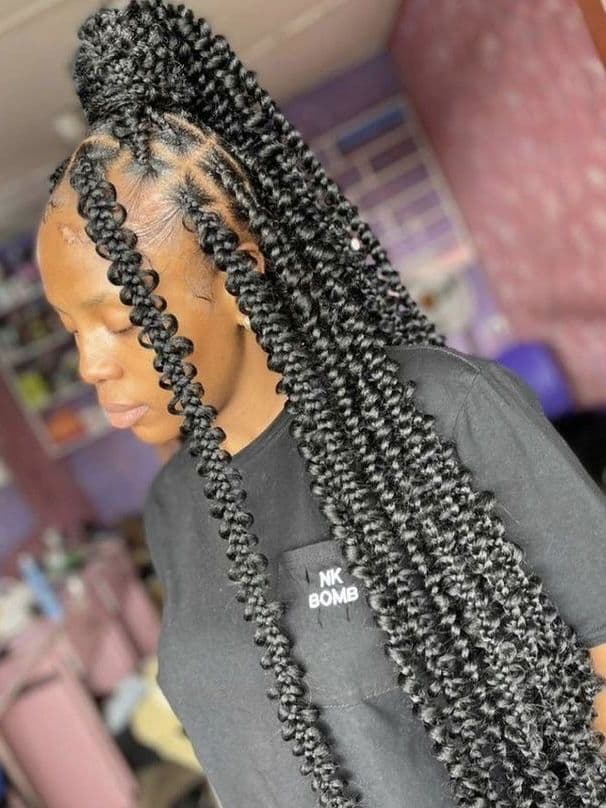Butterfly Braids